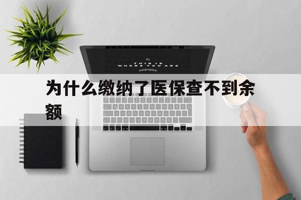 丽水最新为什么缴纳了医保查不到余额方法分析(最方便真实的丽水医保交了费怎么查不到方法)