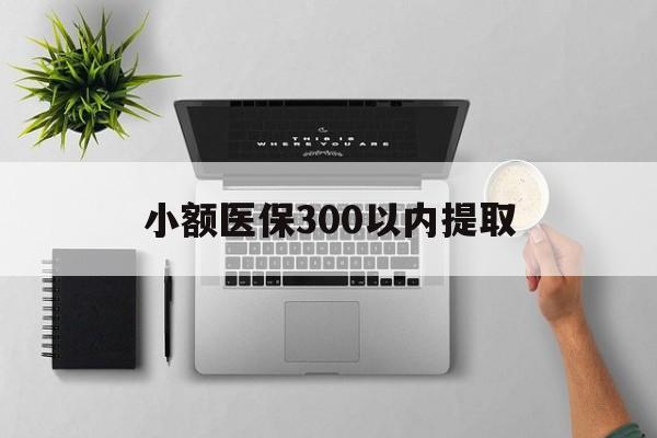 丽水最新小额医保300以内提取方法分析(最方便真实的丽水小额医保300以内提取中介方法)
